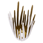 Parco candleholder - Luxury Furniture Mercato Interiors